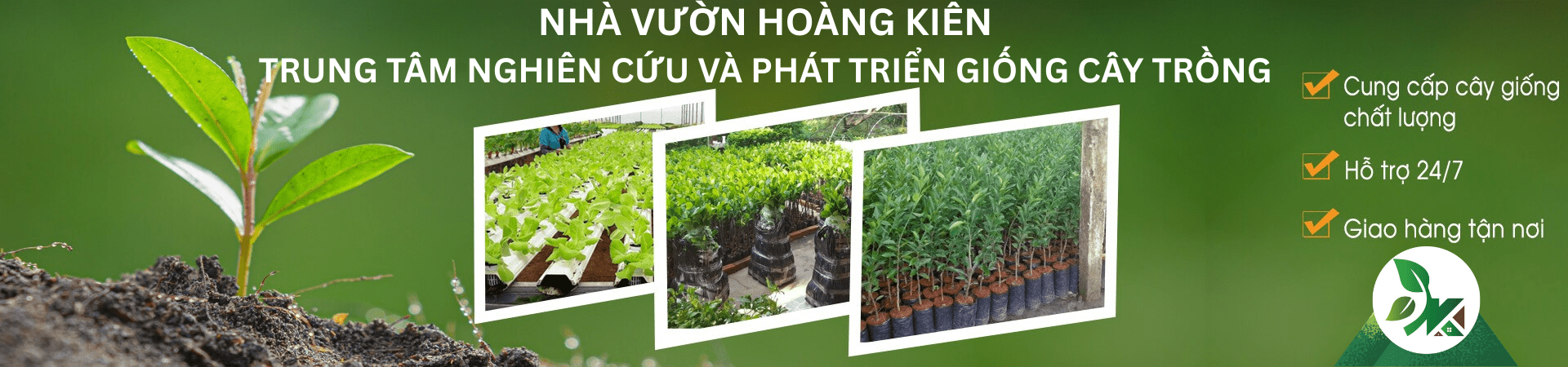Nhà vườn Hoàng Kiên trung tâm nghiên cứu và phát triển giống cây trồng chất lượng cao.